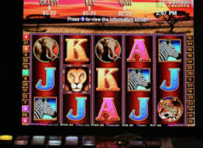 旺财28APP电脑免费版